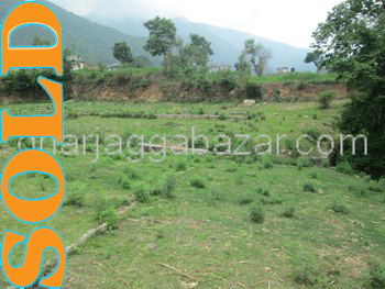 Land on Sale at Thankot